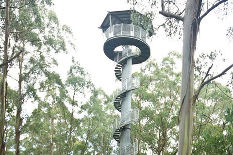 Adventure Sunset Three Day Great Ocean Road Tour - Accommodation 4U 3