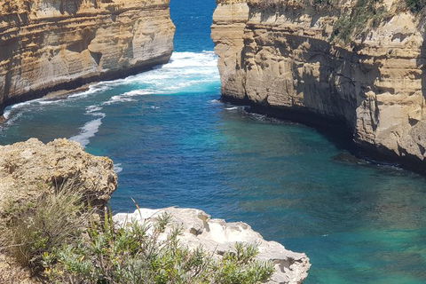 Adventure Sunset Three Day Great Ocean Road Tour - Accommodation 4U 27