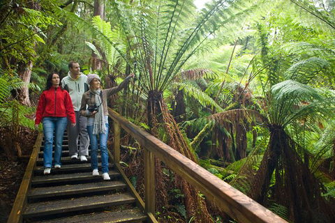 Adventure Sunset Three Day Great Ocean Road Tour - Accommodation 4U 13