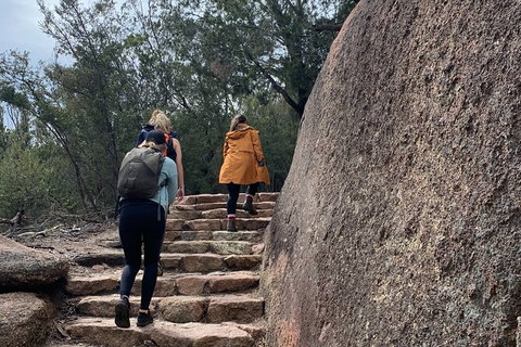 Wineglass Bay Explorer Active Day Trip From Launceston - Accommodation 4U 6