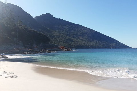 Wineglass Bay Explorer Active Day Trip From Launceston - Accommodation 4U 4
