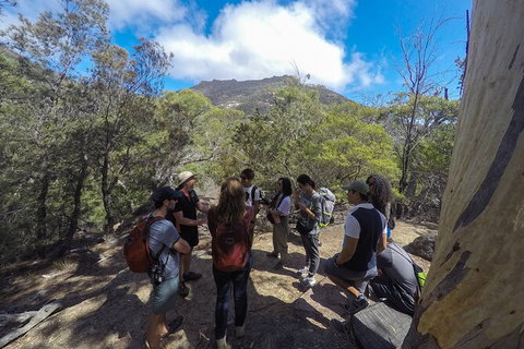 Wineglass Bay Explorer Active Day Trip From Launceston - Accommodation 4U 3