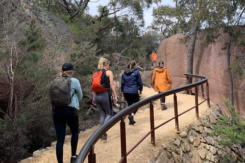 Wineglass Bay Explorer Active Day Trip From Launceston - Accommodation 4U 14