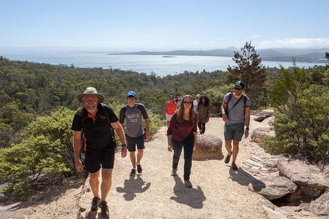Wineglass Bay Explorer Active Day Trip From Launceston - Accommodation 4U 11