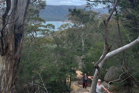 Wineglass Bay Explorer Active Day Trip From Launceston - Accommodation 4U 13