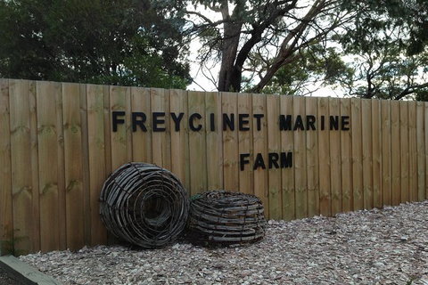 Wineglass Bay Explorer Active Day Trip From Launceston - Accommodation 4U 5