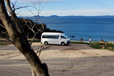 Wineglass Bay Explorer Active Day Trip From Launceston - Accommodation 4U 10