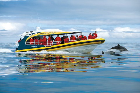 3-Hour Tasman Peninsula Wilderness Cruise From Port Arthur - Accommodation 4U 5