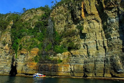 3-Hour Tasman Peninsula Wilderness Cruise From Port Arthur - Accommodation 4U 7