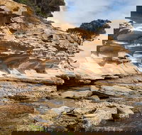 Maria Island premium private photo-oriented day tour from Hobart - Accommodation 4U