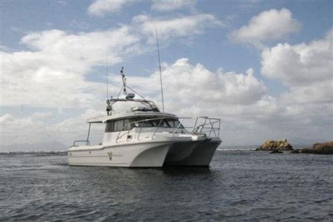 Bonnet Island Experience Departing From Strahan - Accommodation 4U 1