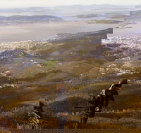 Mt Wellington Half Day Guided Summit Hike - Accommodation 4U