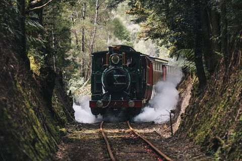 West Coast Wilderness Railway: River And Rainforest From Strahan - Accommodation 4U 0