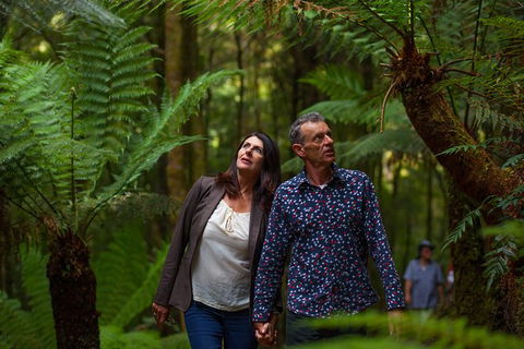 West Coast Wilderness Railway: River And Rainforest From Strahan - Accommodation 4U 3