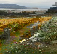 Mona and Wine Experience Tour - Accommodation 4U