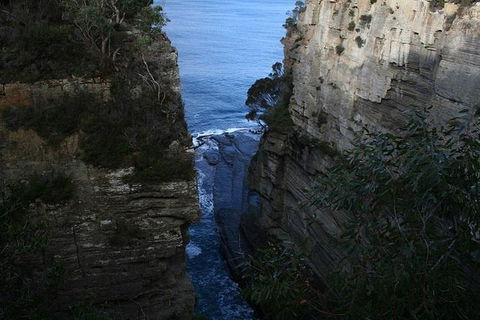 Cruise Ship Special From Port Arthur: Explore Tasman Peninsula With Free WiFi - Accommodation 4U 1