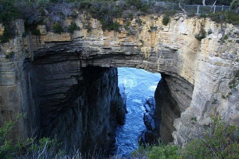 Cruise Ship Special From Port Arthur: Explore Tasman Peninsula With Free WiFi - Accommodation 4U 0