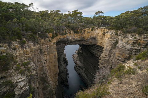 Cruise Ship Special From Port Arthur: Explore Tasman Peninsula With Free WiFi - Accommodation 4U 2