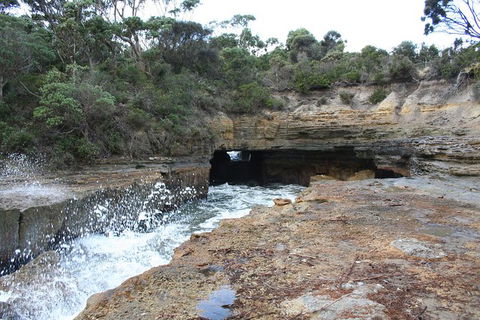 Cruise Ship Special From Port Arthur: Explore Tasman Peninsula With Free WiFi - Accommodation 4U 7
