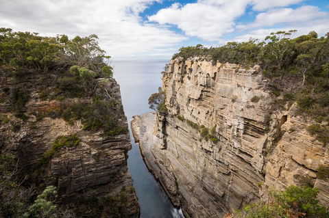 Cruise Ship Special From Port Arthur: Explore Tasman Peninsula With Free WiFi - Accommodation 4U 3