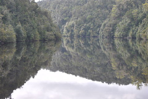 Gordon River Cruise Departing From Strahan - Accommodation 4U 17