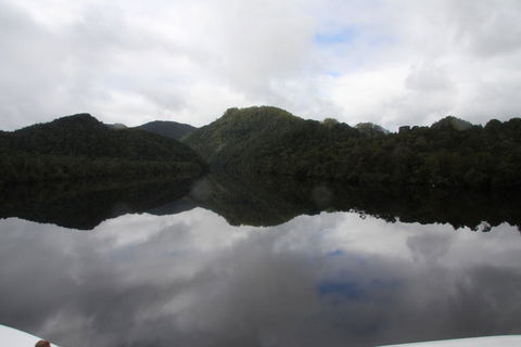 Gordon River Cruise Departing From Strahan - Accommodation 4U 18