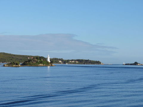 Gordon River Cruise Departing From Strahan - Accommodation 4U 8