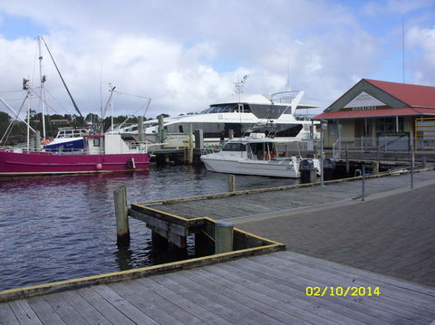 Gordon River Cruise Departing From Strahan - Accommodation 4U 14