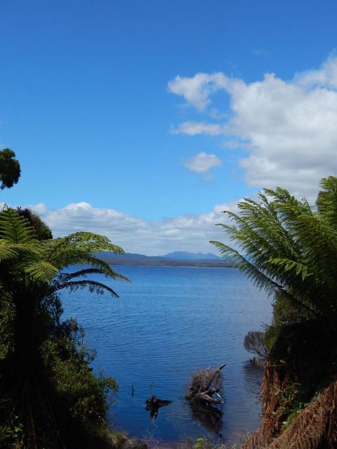 Gordon River Cruise Departing From Strahan - Accommodation 4U 20