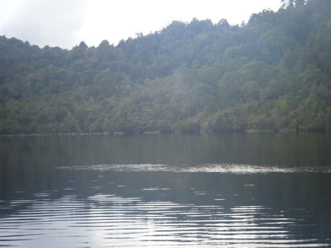 Gordon River Cruise Departing From Strahan - Accommodation 4U 23