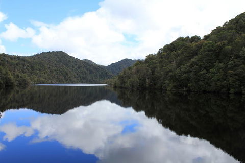Gordon River Cruise Departing From Strahan - Accommodation 4U 21