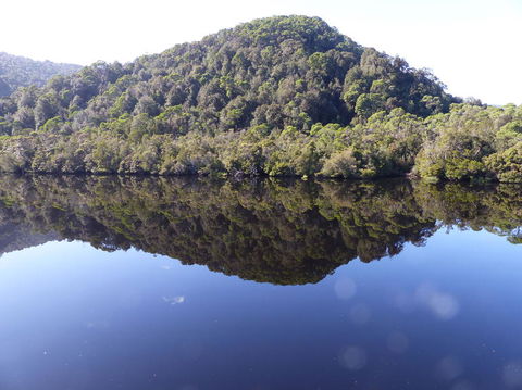 Gordon River Cruise Departing From Strahan - Accommodation 4U 4