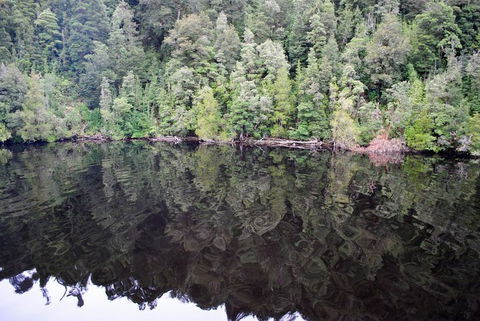 Gordon River Cruise Departing From Strahan - Accommodation 4U 24
