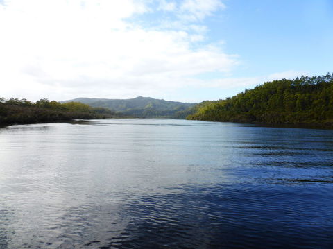 Gordon River Cruise Departing From Strahan - Accommodation 4U 10