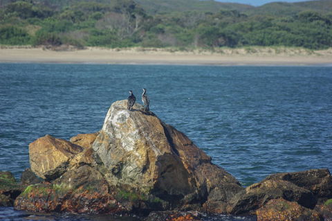 Gordon River Cruise Departing From Strahan - Accommodation 4U 11