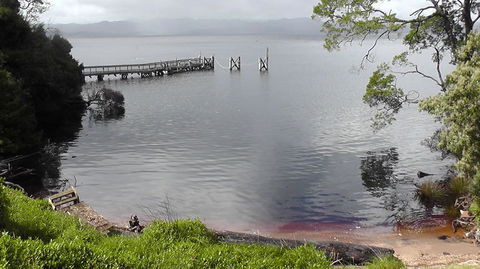 Gordon River Cruise Departing From Strahan - Accommodation 4U 22