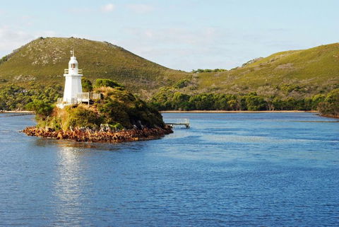 Gordon River Cruise Departing From Strahan - Accommodation 4U 25