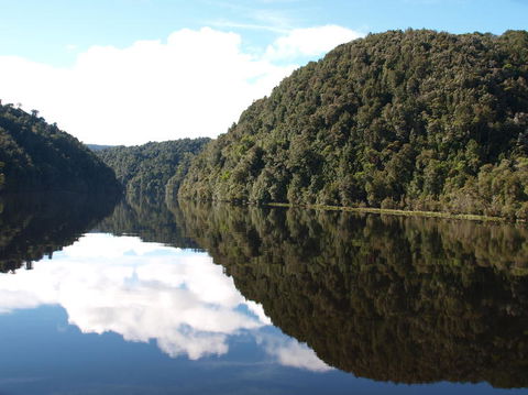 Gordon River Cruise Departing From Strahan - Accommodation 4U 16