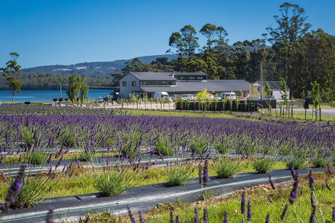 Private Tasman Peninsula Cruise Ship Tour From Port Arthur - Accommodation 4U 0