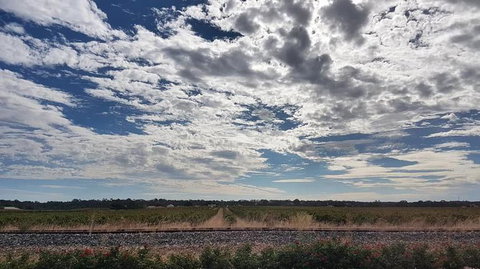 Barossa Valley Full-Day Tour From Adelaide With Maggie Beer Farm - Accommodation 4U 3