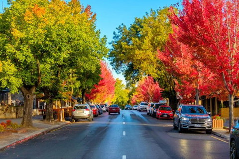 Barossa Valley Full-Day Tour From Adelaide With Maggie Beer Farm - Accommodation 4U 6