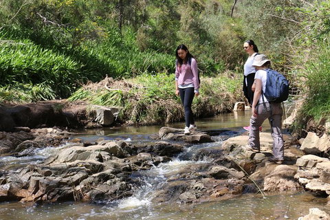 Small Group Bush Walk & BBQ With Wine Day Trip From Adelaide - Accommodation 4U 0