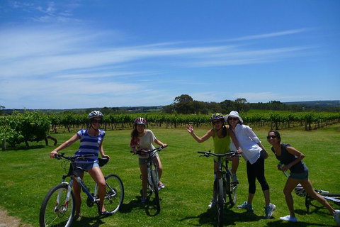 McLaren Vale Wine Tour By Bike - Accommodation 4U 1
