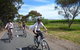 McLaren Vale Wine Tour By Bike - thumb 0