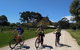McLaren Vale Wine Tour By Bike - thumb 8