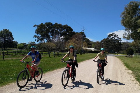 McLaren Vale Wine Tour By Bike - Accommodation 4U 8