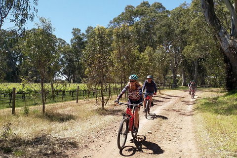 McLaren Vale Wine Tour By Bike - Accommodation 4U 11
