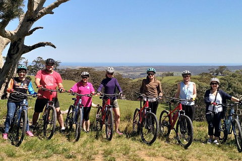 McLaren Vale Wine Tour By Bike - Accommodation 4U 6