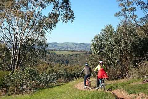 McLaren Vale Wine Tour By Bike - Accommodation 4U 13