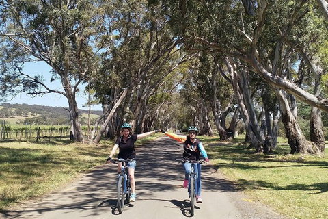 McLaren Vale Wine Tour By Bike - Accommodation 4U 14
